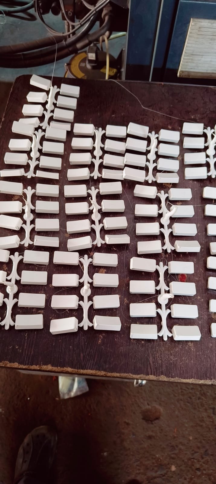 WhatsApp Image 2025-12-22 at 4.34.49 PM